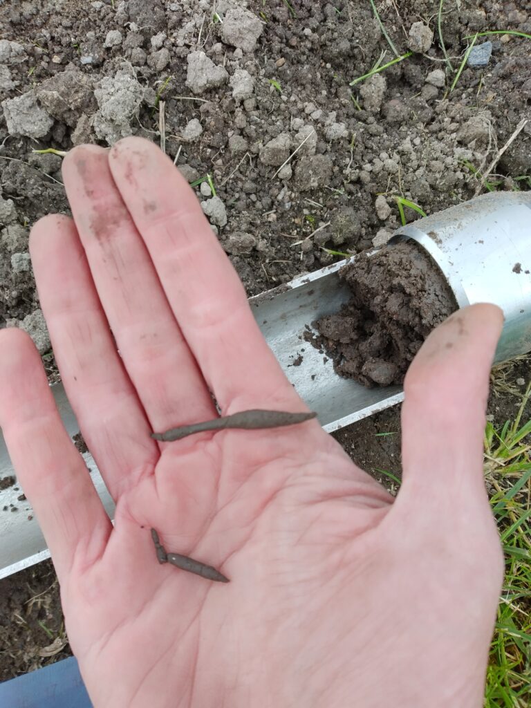 Soil sample rolled into a worm shape