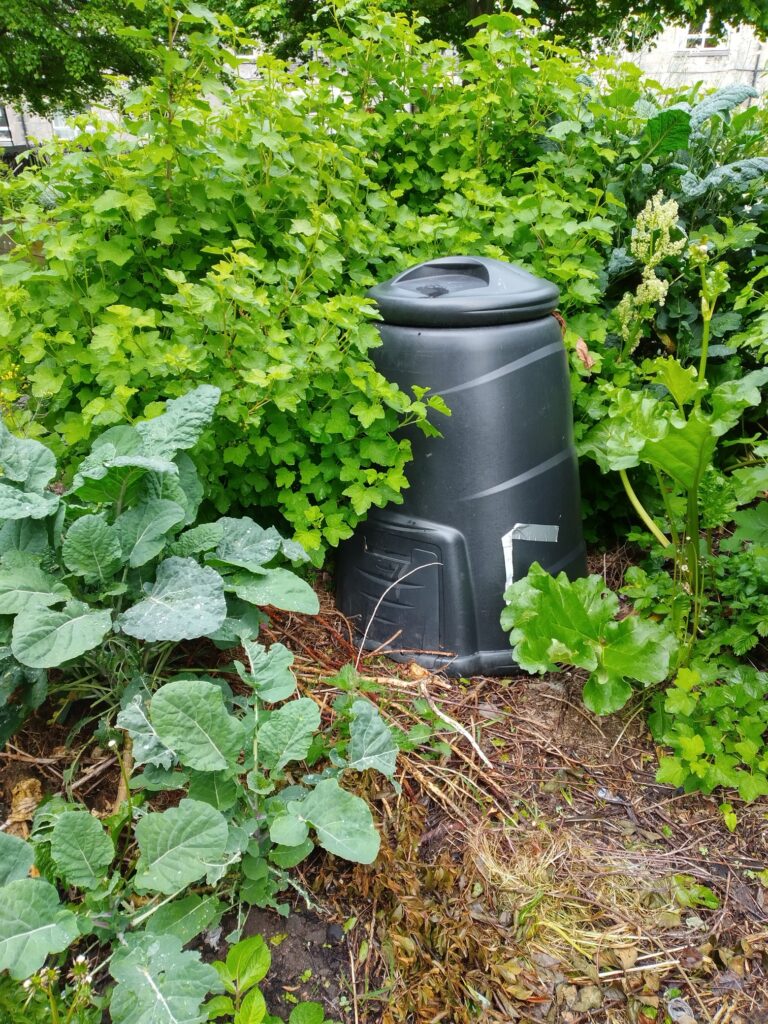 One of several composters at Powis Edible Garden.